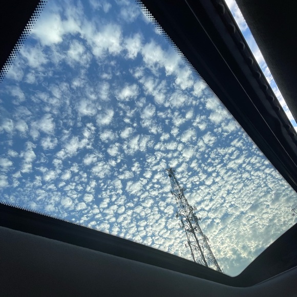 Meet your Posher, Charles - Picture 3 of 4